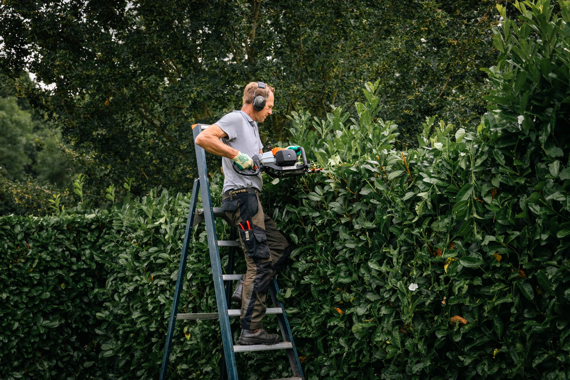 Onderhoudshovenier - fulltime