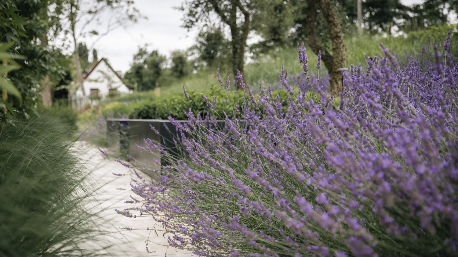 Een hovenier vertelt: zo wordt je tuin een plek waar je nooit meer weg wilt