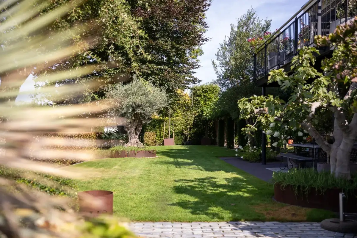 Tuinonderhoud abonnement in regio Rotterdam - project-489a9320-web