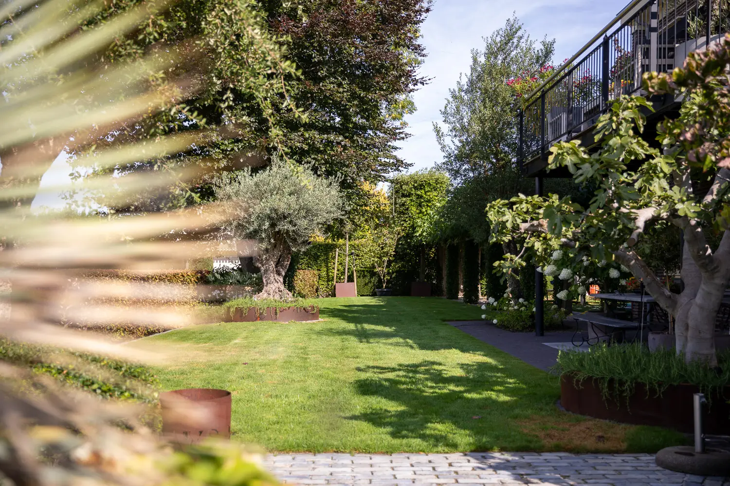 Tuinontwerp twee-onder-een kap tuin in Brielle - 489a9320