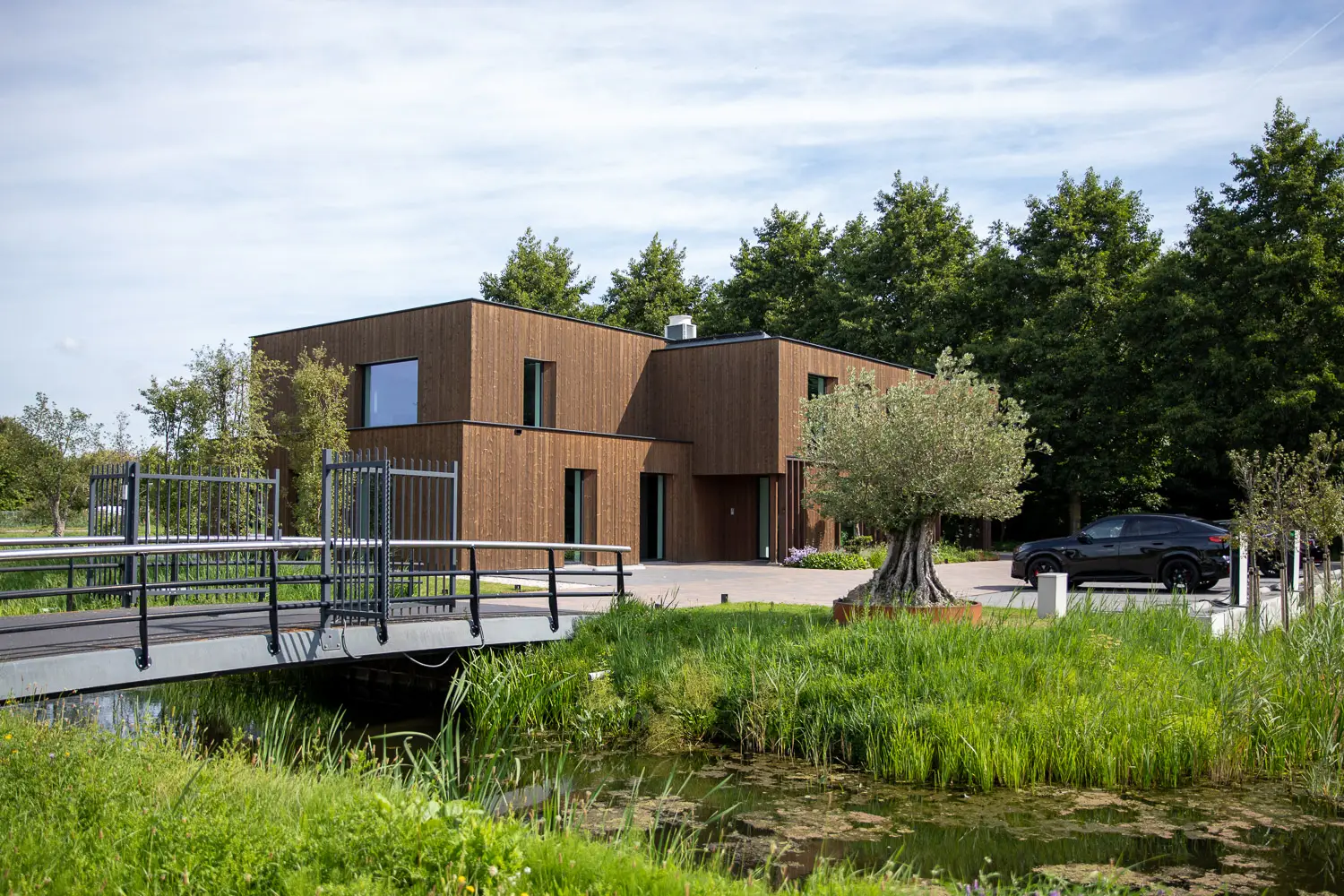 Tuinontwerp twee-onder-een kap tuin in Brielle - 489a9453